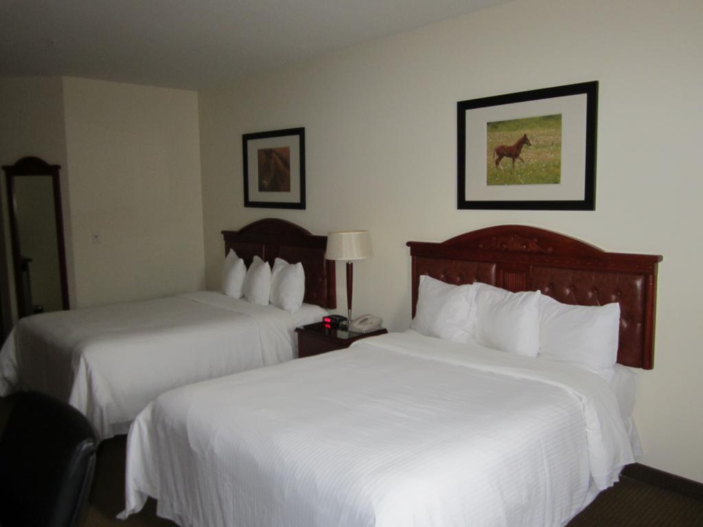 Trend Mountain Hotel & Conference Centre Tumbler Ridge Room photo
